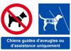 Logo chiens d aveugles